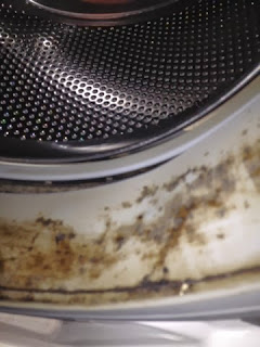 Is Mold In Your Front-Load Washing Machine Harmful?