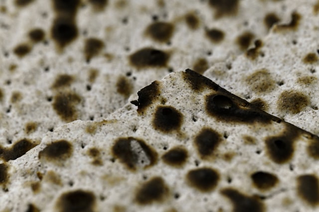 5 Signs You May Have Black Mold And How To Get Rid Of It