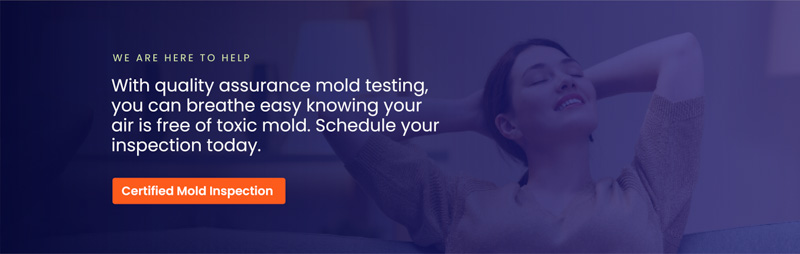 Are do it yourself mold test kits accurate and reliable? - Signature  Property Inspection