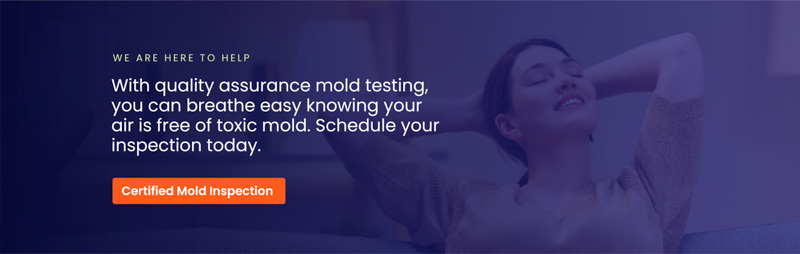 Mold Armor Indoor Mold Test Kit - Detects Mold Presence, Quick Results in  48 Hours, Easy and Safe to Use in the Mold Test Kits department at