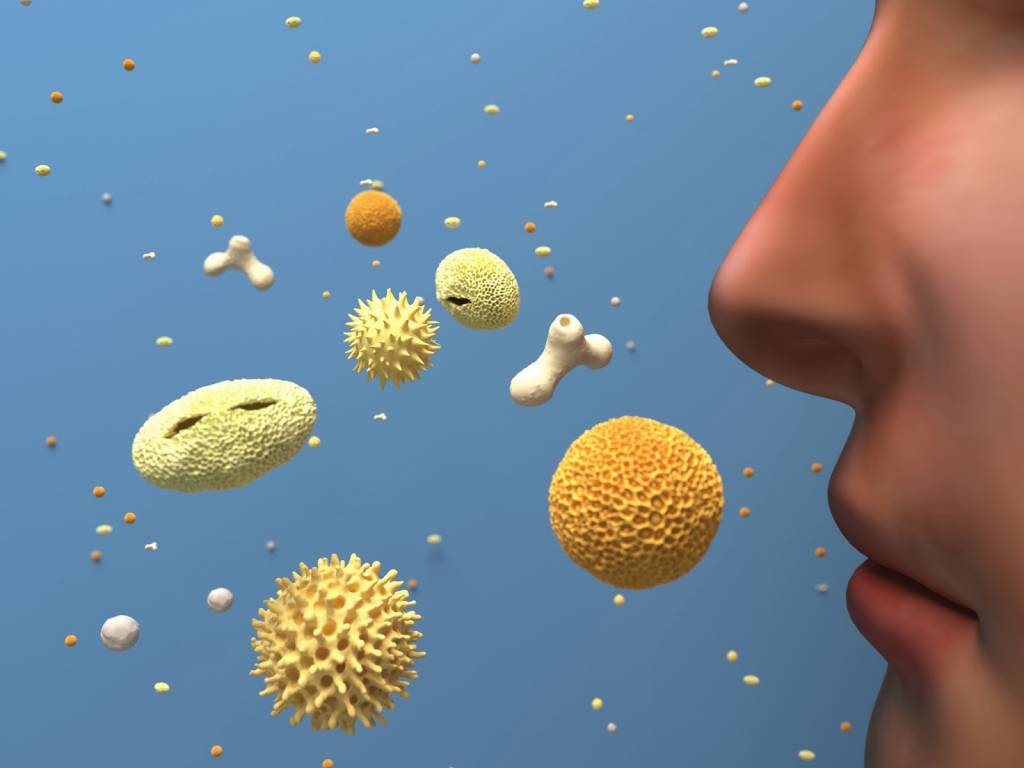 allergy pollen