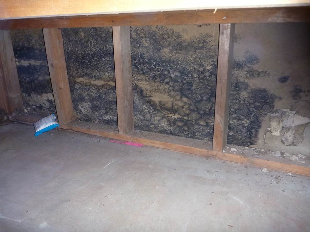 house smells bad from mold