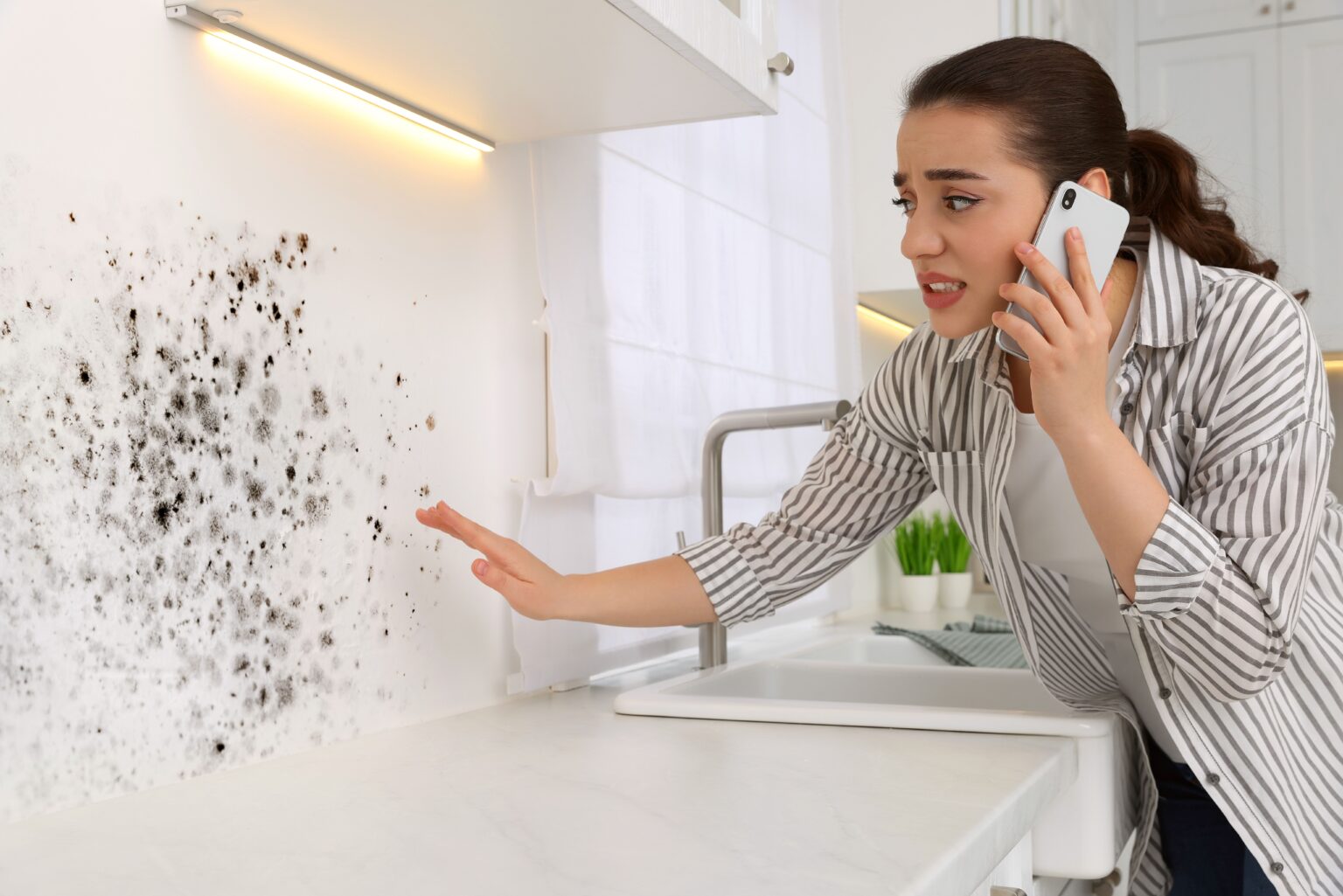 how-homeowners-should-check-their-insurance-policy-for-limited-fungi