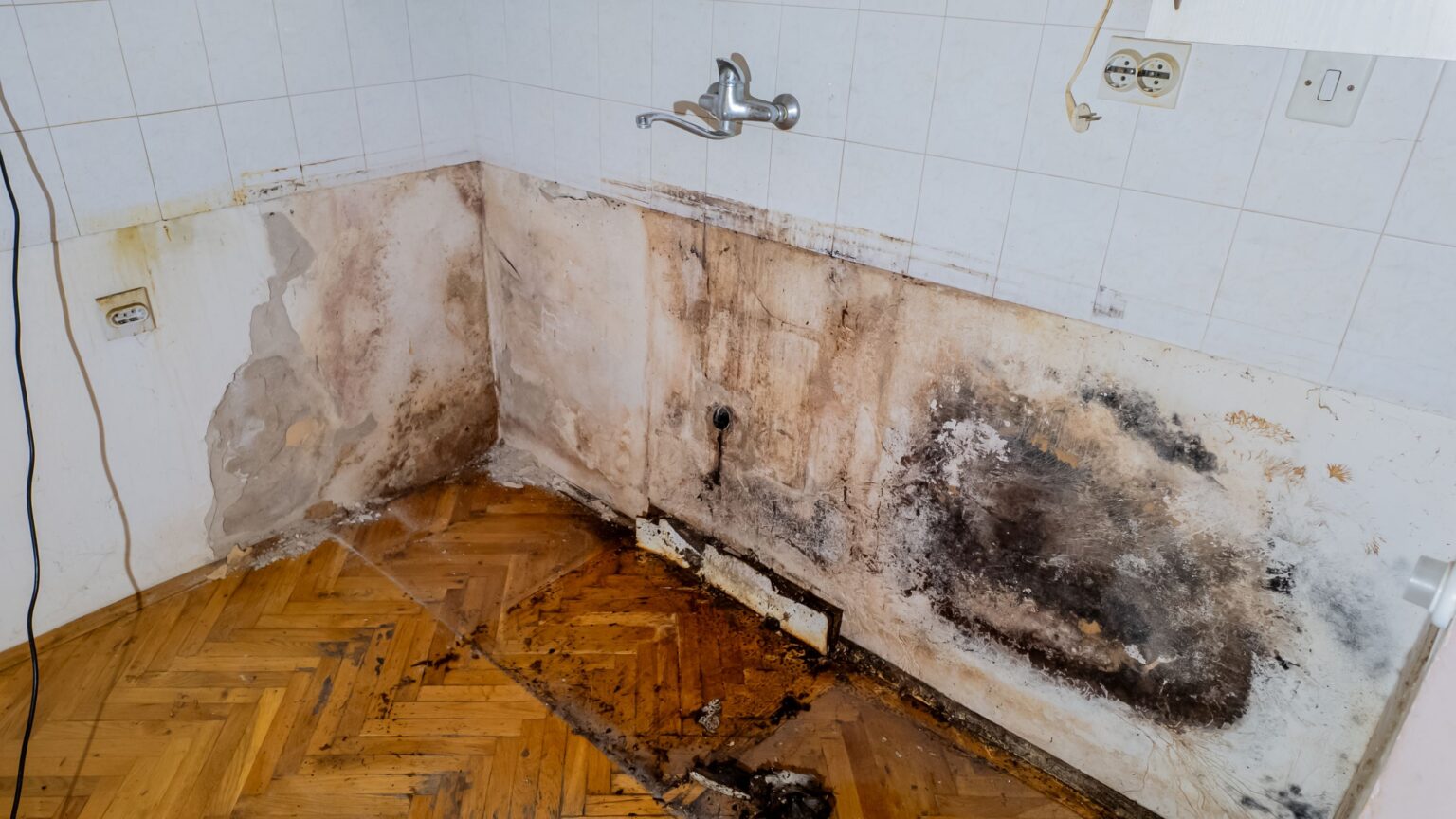 The Hidden Dangers of Mold Behind Your Kitchen Sink | Indoor Doctor